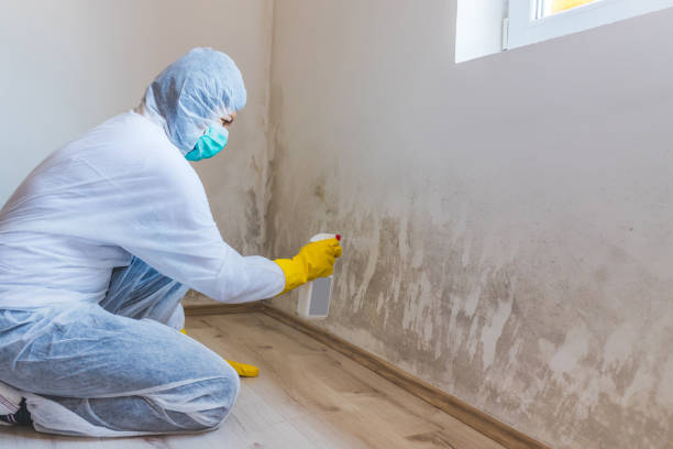 Mold Remediation specialist working in Englishtown